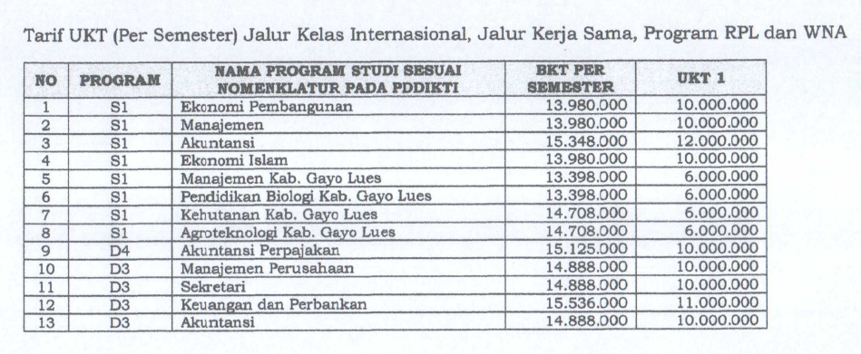 UKT Internasional USYIAh